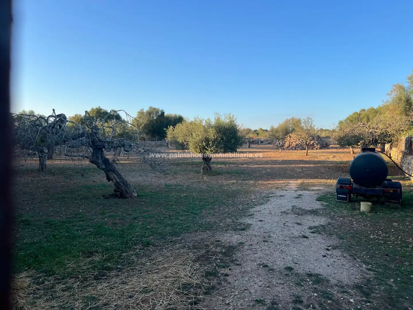 Terrenys i solars en venda a Maria de la Salut, imagen 10