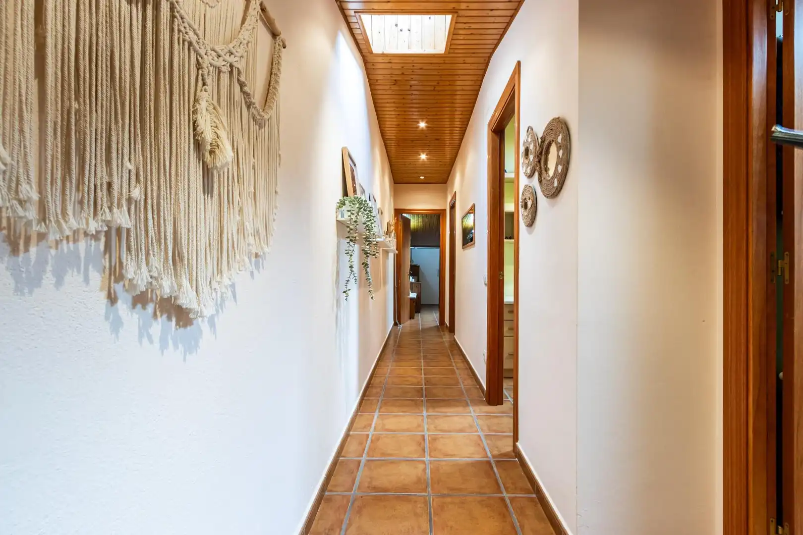 House with terrace for sale in Centre - Sant Oleguer, imagen 32