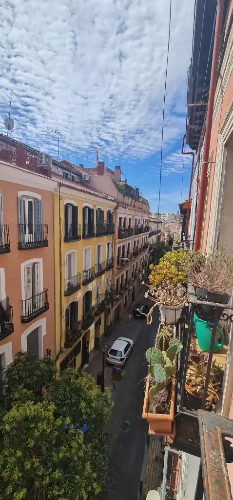 Piso con terraza en venta en Centro, imagen 4