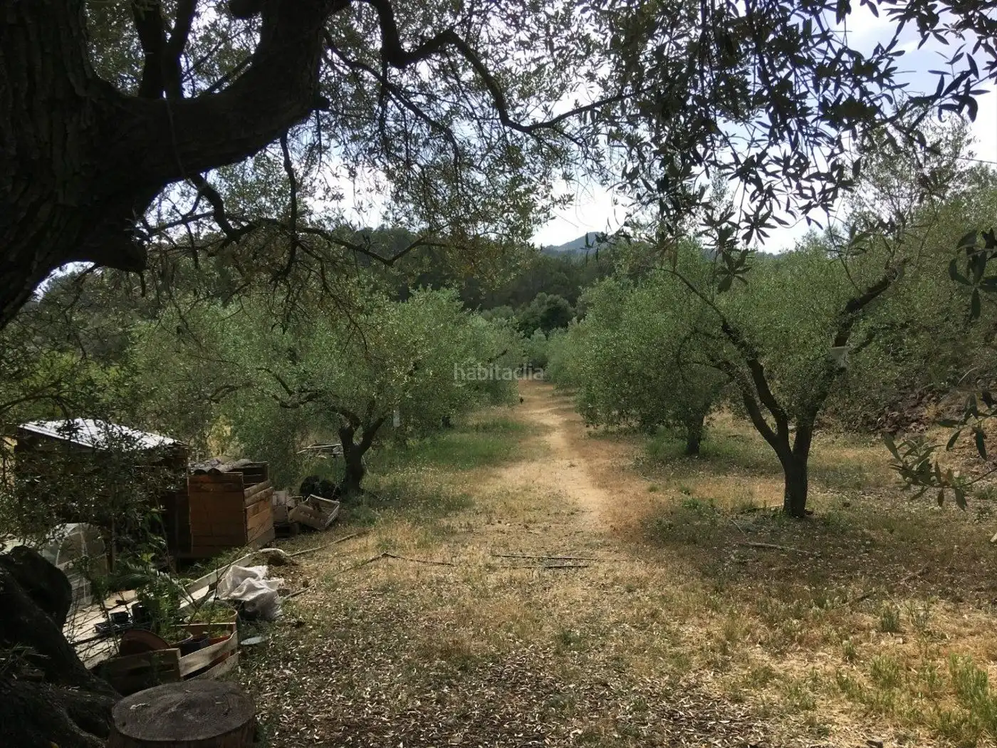 Terreno rustico in vendita a Vial Camino 131, imagen 3