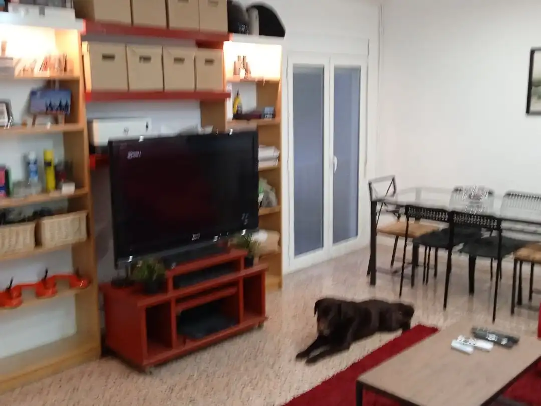 Piso con ascensor en venta en Neptu 5, imagen 9