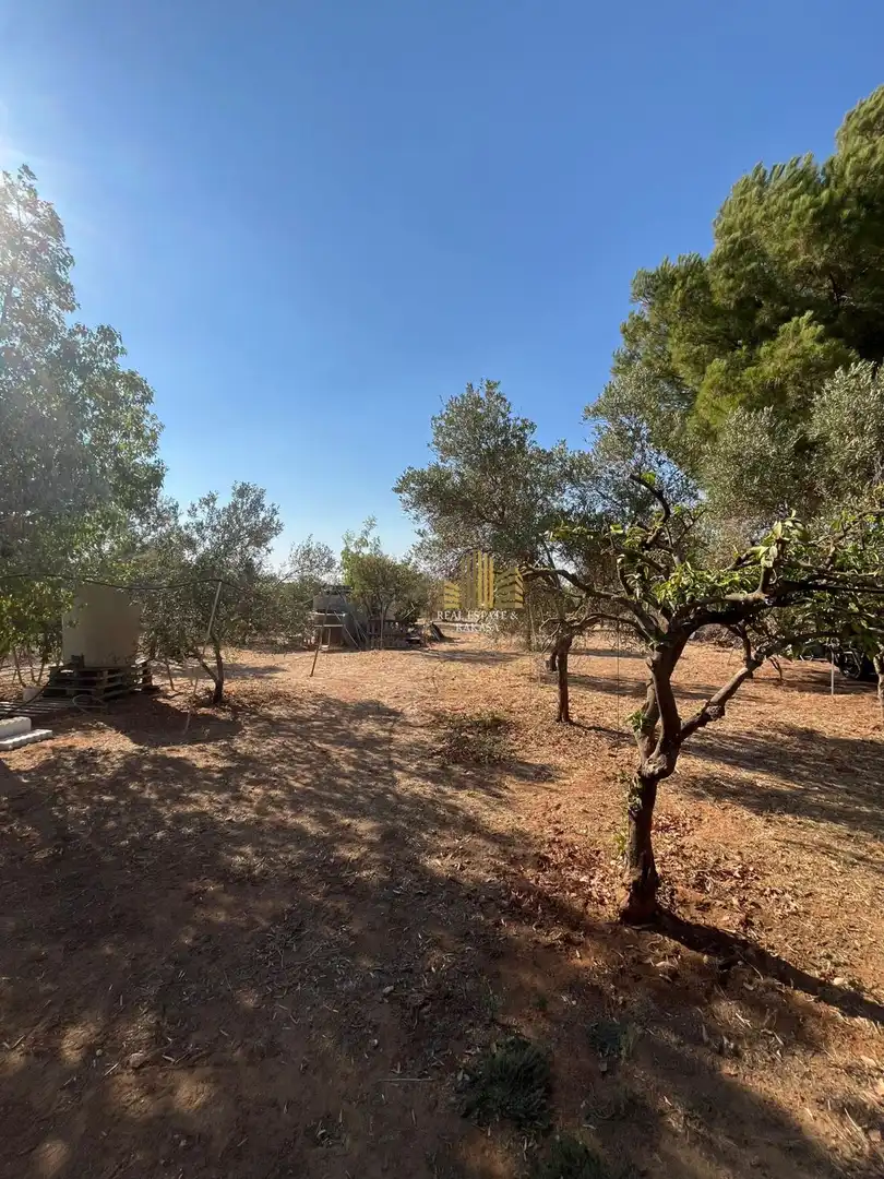Casa o xalet en venda en Alcalá de Guadaira amb Traster