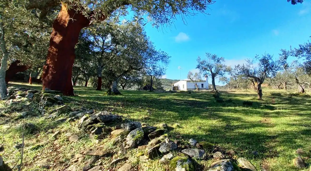 Vista exterior de Casa o chalet en venta en Puerto Moral con Jardín privado, Terraza y Trastero