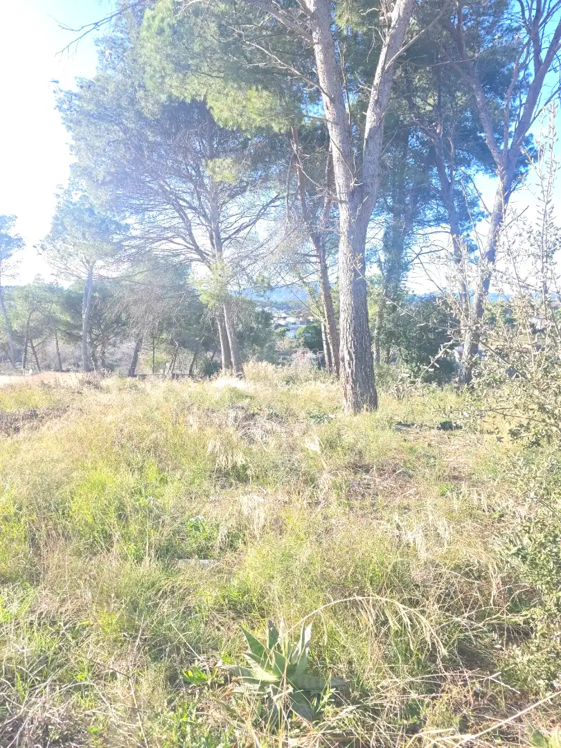 Terreno residencial en venta en Lliçà de Vall, imagen 8