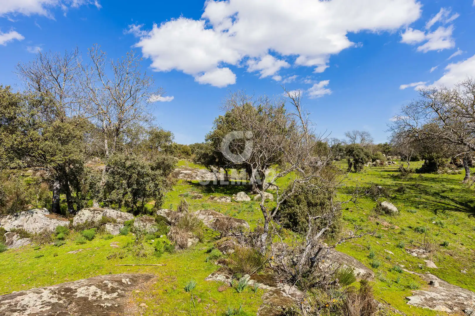 Terreno residencial en venta en La Navata, imagen 11
