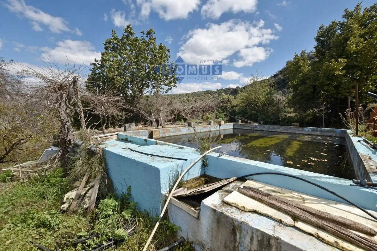 Casa rústica amb piscina en venda a Partidas Norte, imagen 5