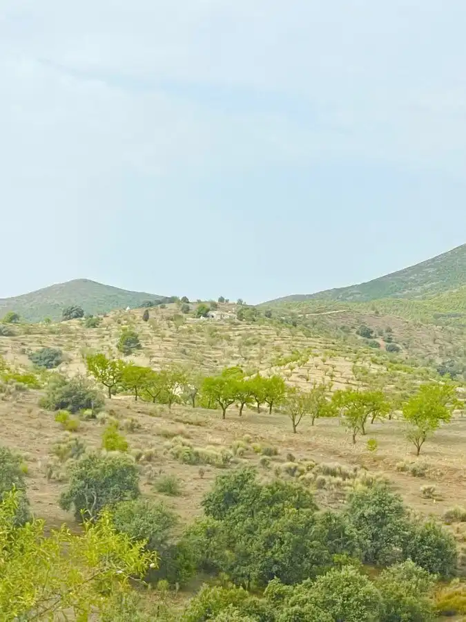 Rural land for sale in Puerto Lumbreras, imagen 5