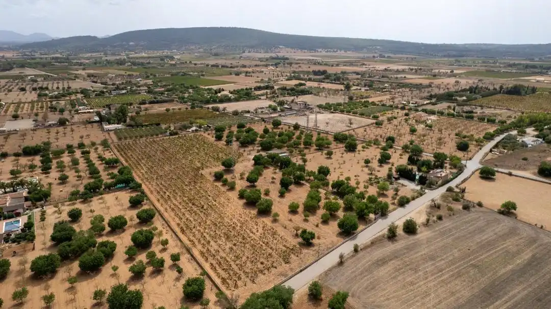 Land for sale in Consell