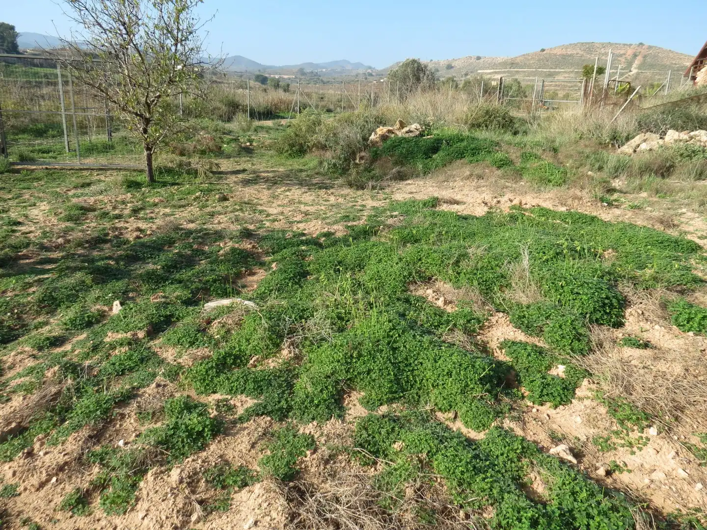 Terreni e lotti in vendita a Pedanías Oeste, imagen 12