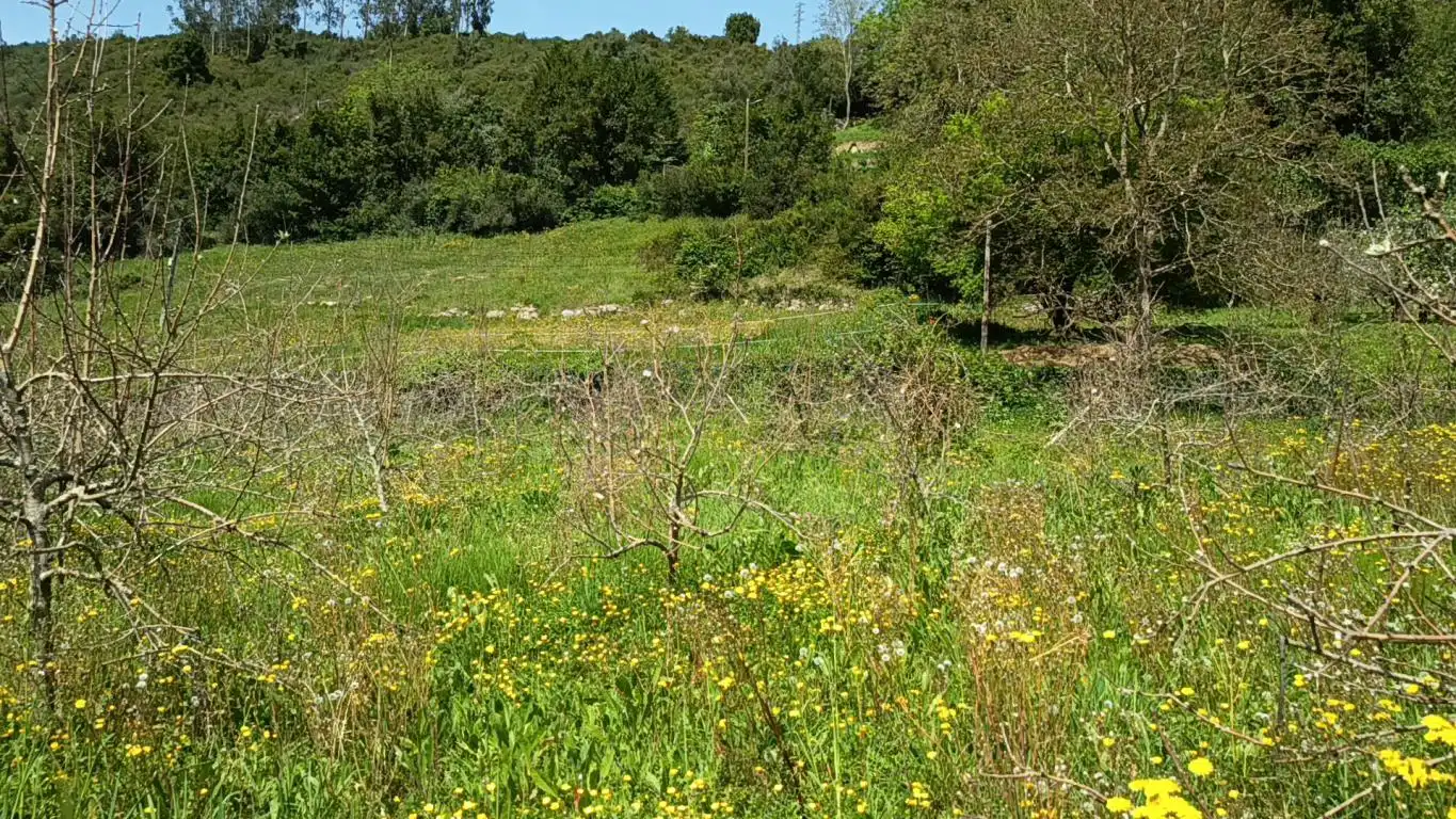 Residential for sale in Candamo