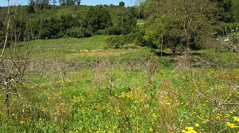 Foto 5 de Residencial en venda a Cd-1, Candamo, Asturias