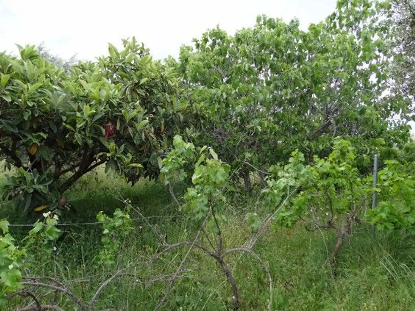 Xalet en venda a Moratalla, imagen 4