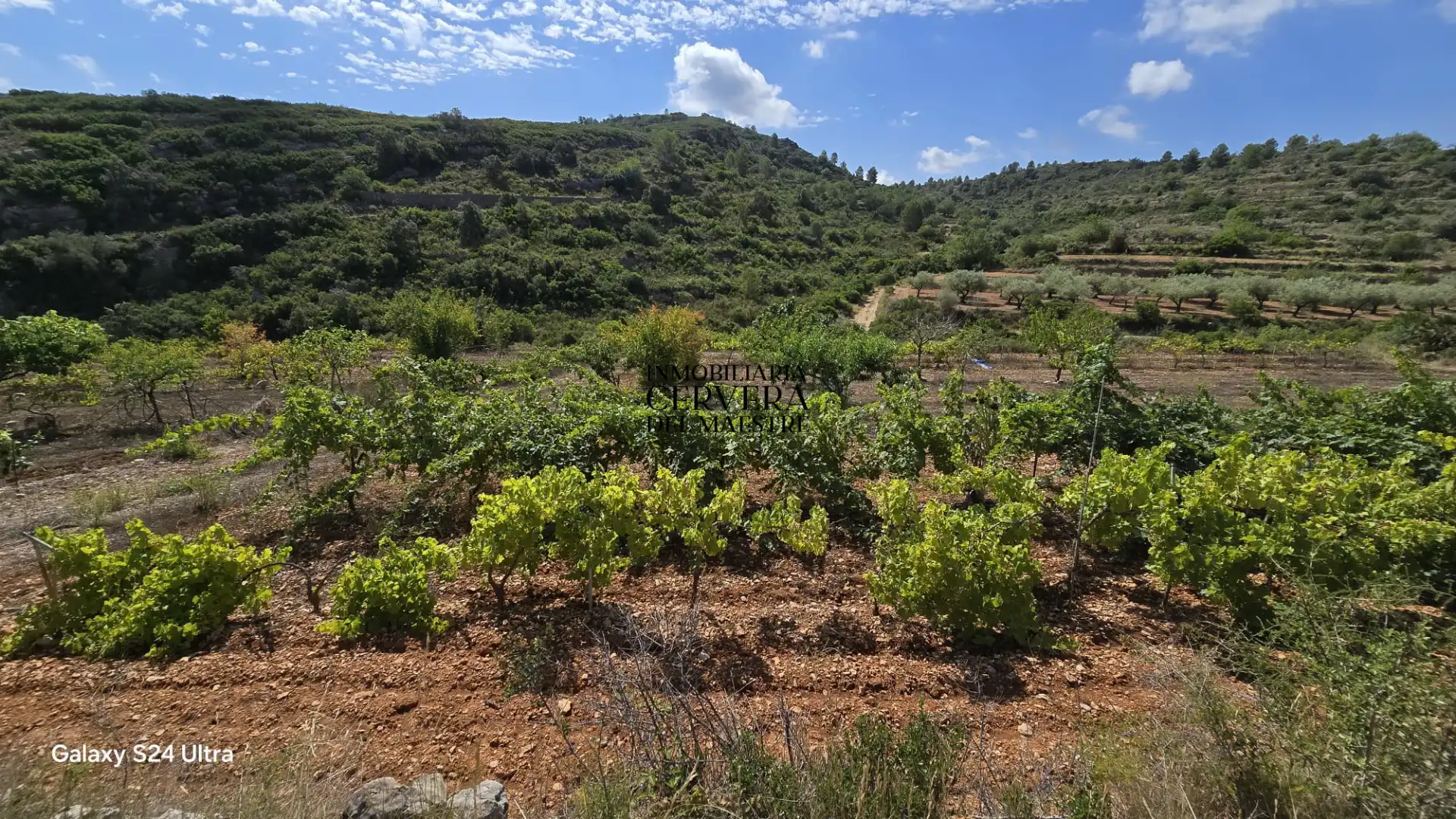 Rural land for sale in Cervera del Maestre, imagen 17