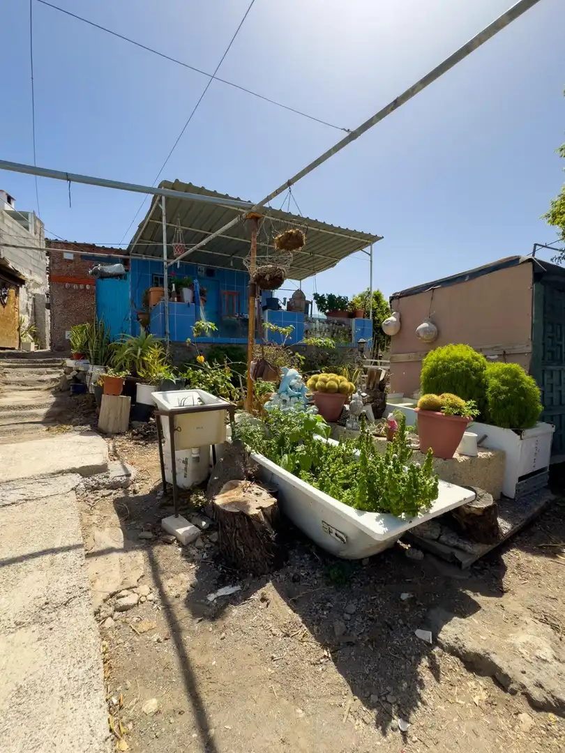 Jardí de Finca rústica en venda en Guía de Isora