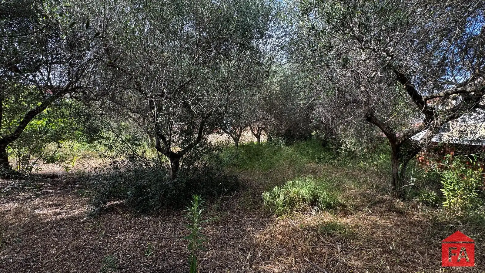 Terreny en venda en Albinyana