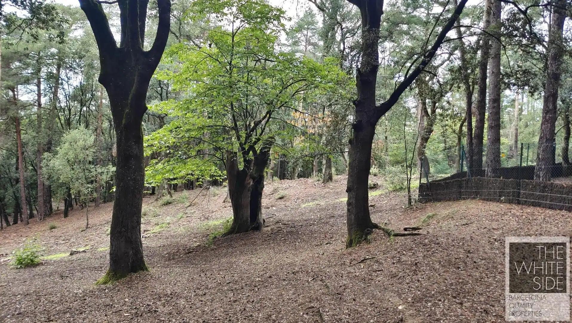 Terrenos y solares en venta en Viladrau, imagen 21