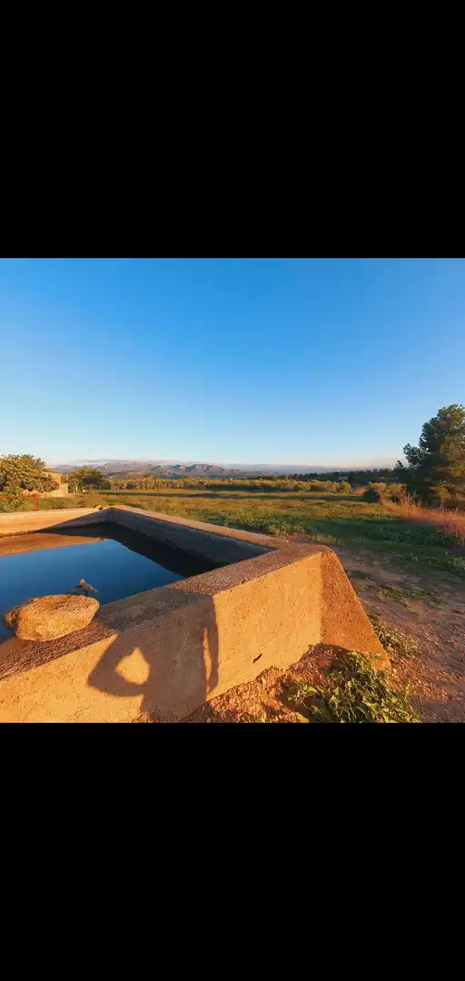 Casa en venta en Móra d'Ebre, imagen 5