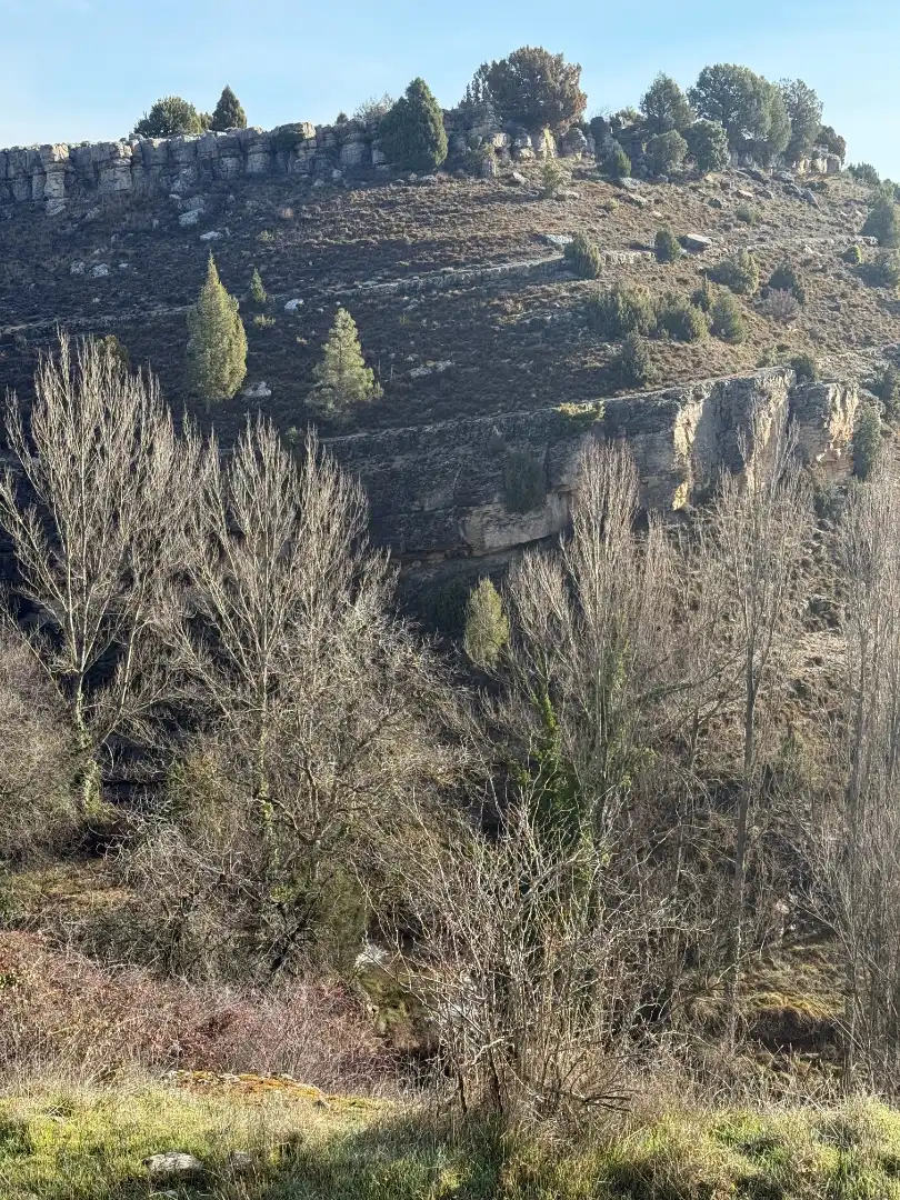 Vista exterior de Finca rústica en venta en Castielfabib