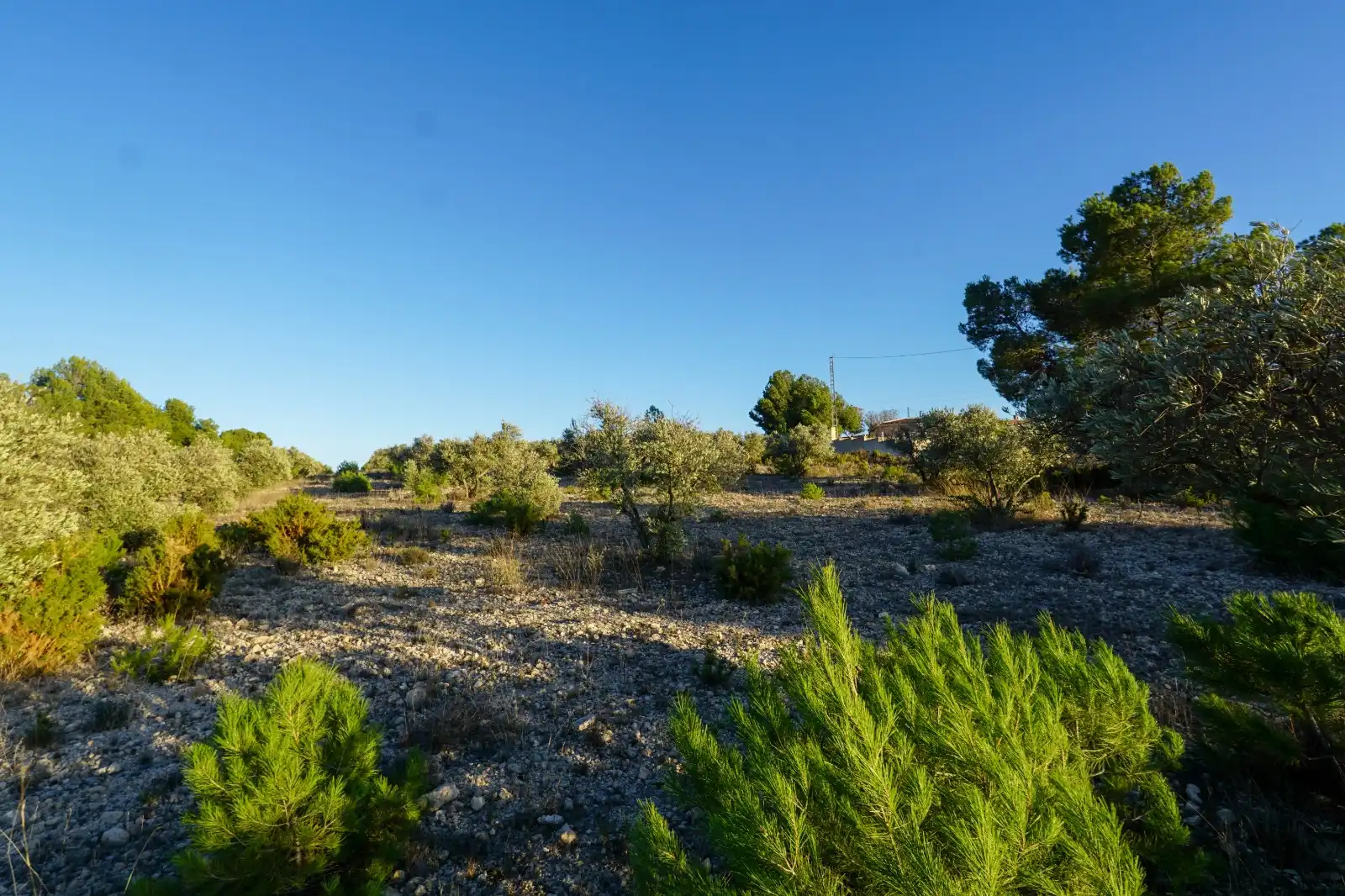 Finca rústica en venta en Ibi con Jardín privado y Terraza
