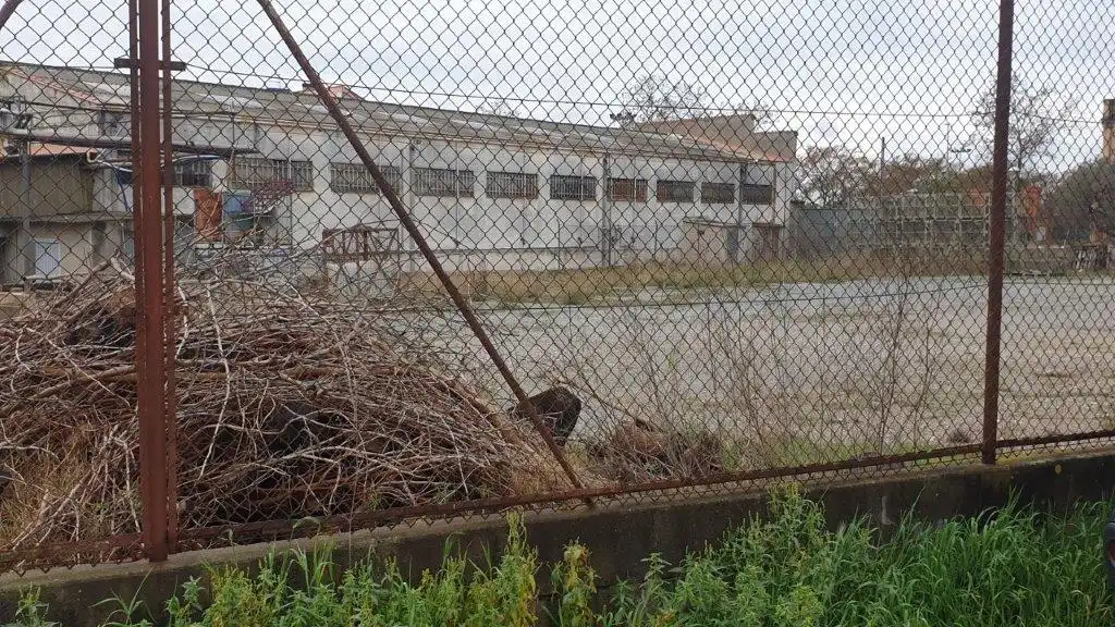 Exterior view of Industrial buildings for sale in Castellbisbal