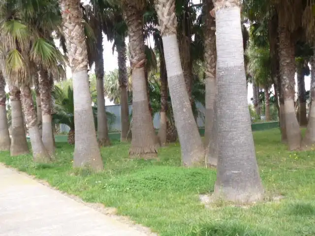 Vista exterior de Casa o xalet en venda en Tortosa amb Aire condicionat, Calefacció i Jardí privat