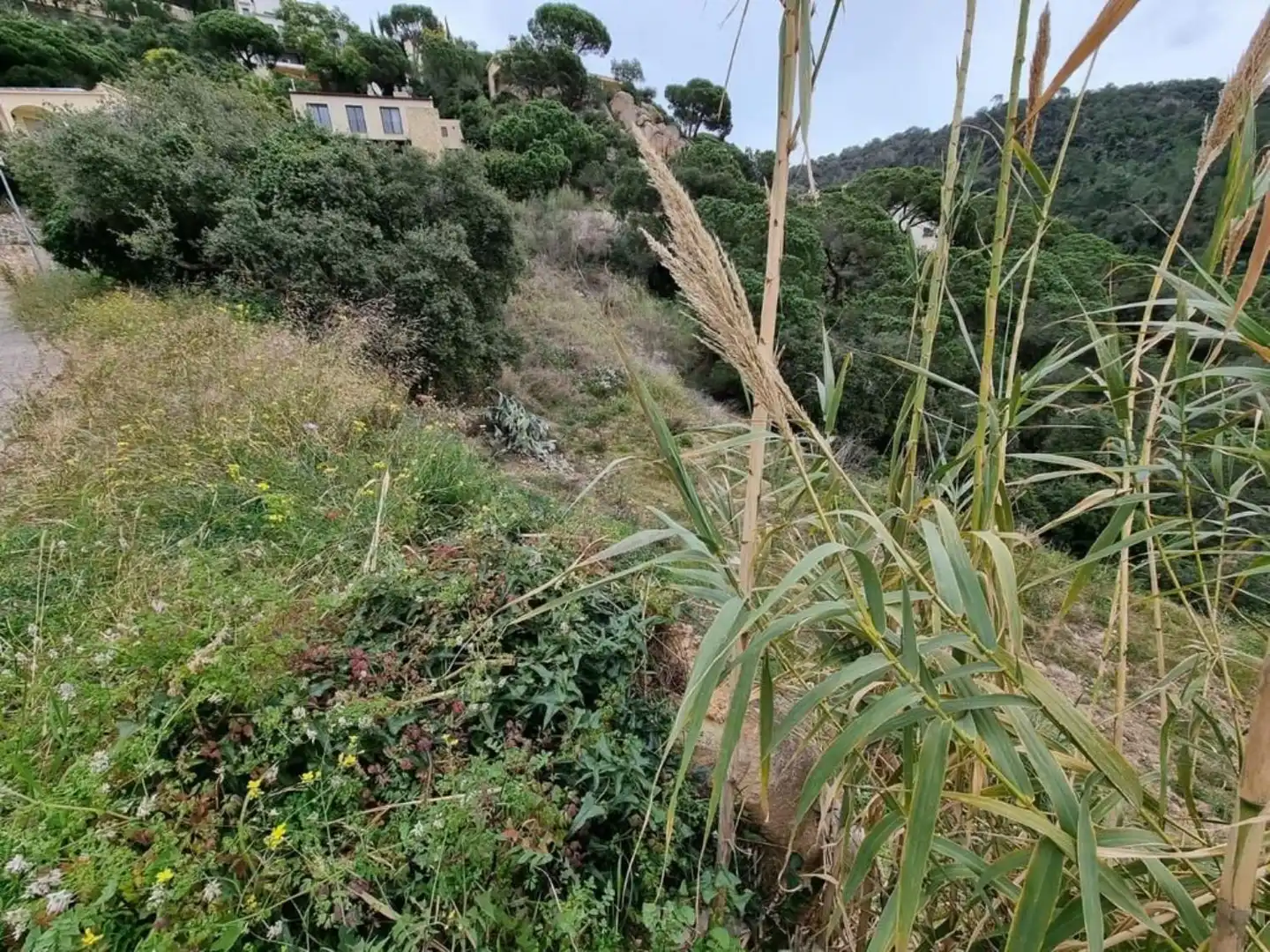 Terrenos y solares en venta en Serra Brava, imagen 16
