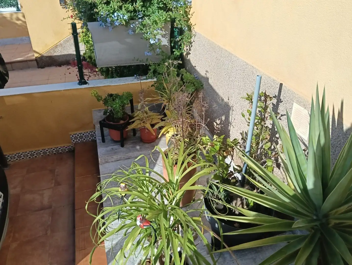 Terrace of Apartments for sale in Los Montesinos  with Private garden, Terrace and Storage room