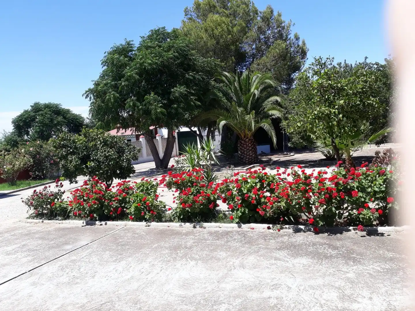 Chalet con piscina en venta en La Carlota, imagen 8