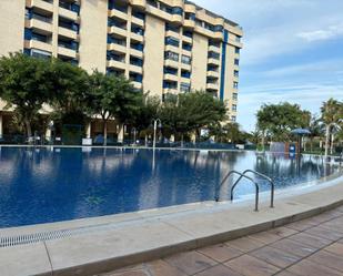 Piscina de Pis de lloguer en Alboraya amb Aire condicionat, Jardí privat i Terrassa