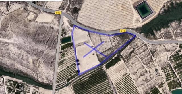 Finca rústica en Venta en Villanueva del Río Segura