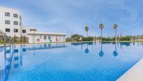 Swimming pool of Flat for sale in  Almería Capital  with Terrace