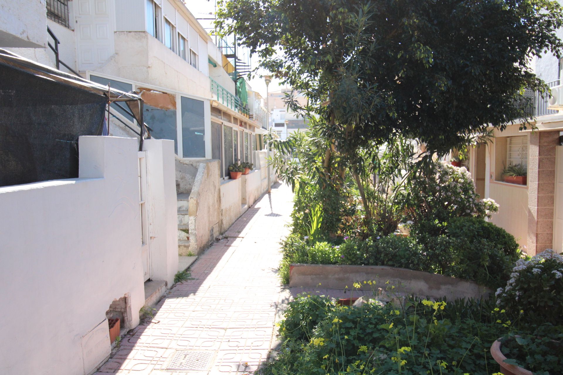 Exterior view of House or chalet for sale in Torrevieja  with Furnished