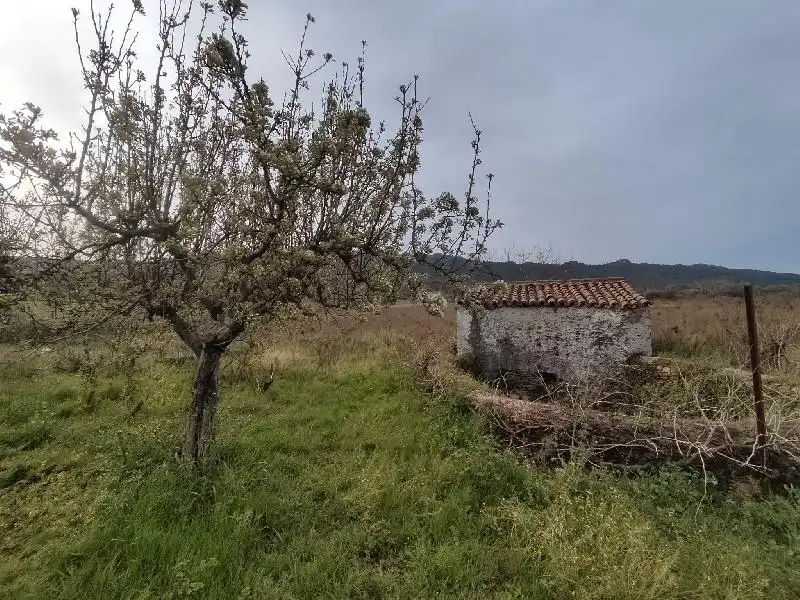 Terreni e lotti in vendita a Mirabel