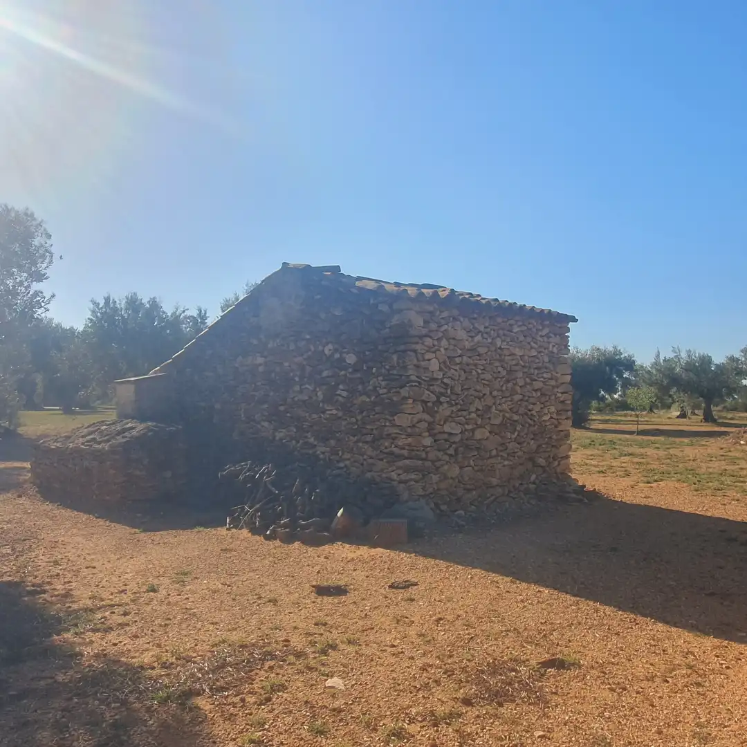 Terrain rustique à vendre à Tivenys, imagen 24