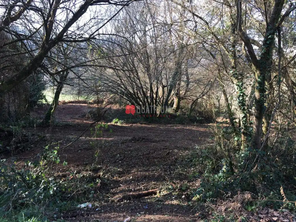 Casa o xalet en venda en Santiago de Compostela  amb Jardí privat