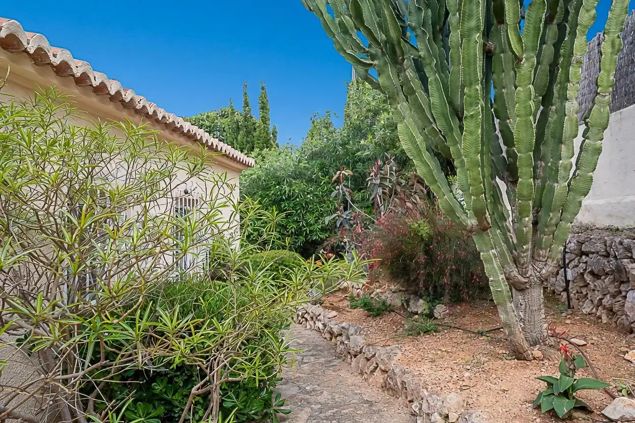 Houses for sale in Calle TRENCALL, La Granadella - Costa Nova
