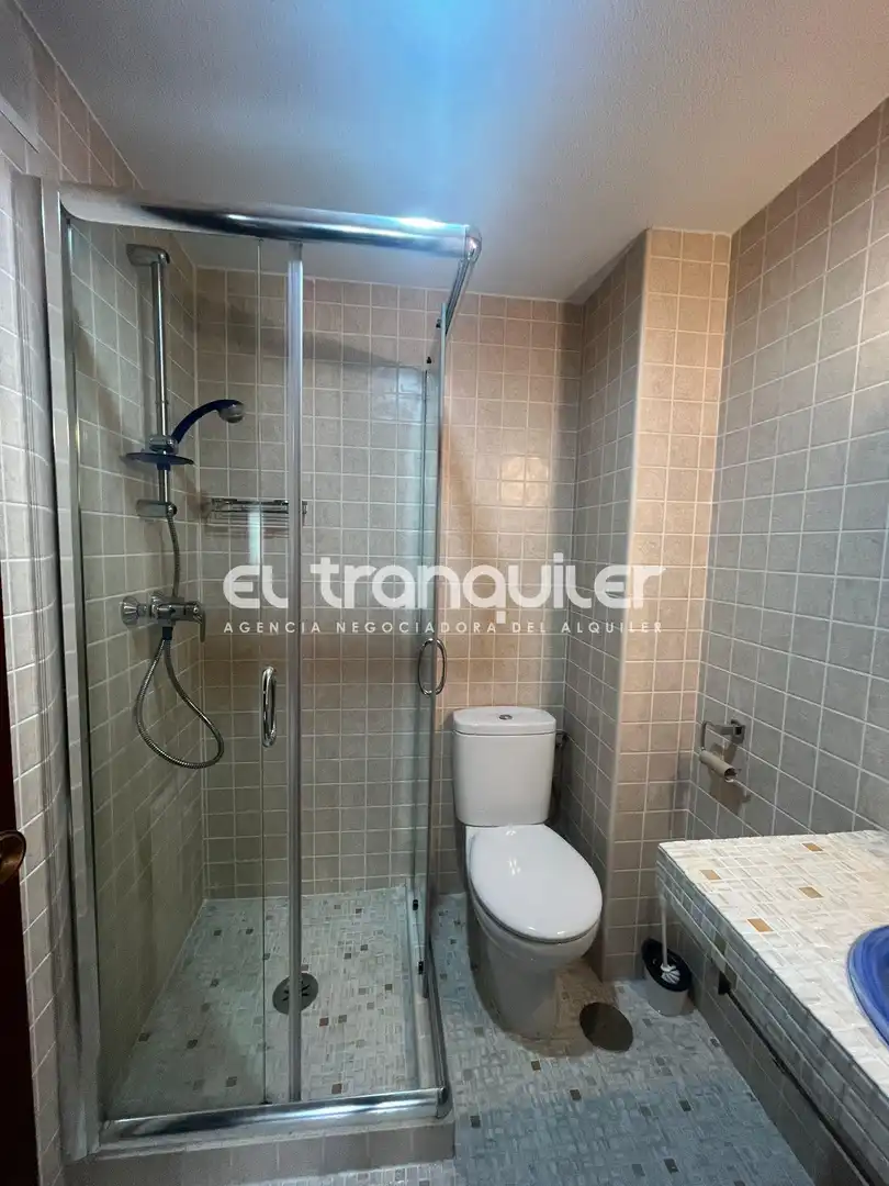 Bathroom of Flat for rent in Madrid  with Parquet flooring, Terrace and Washing machine