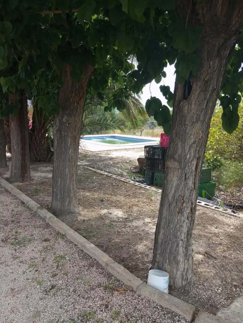 Casa rústica en venta en Redován, imagen 13