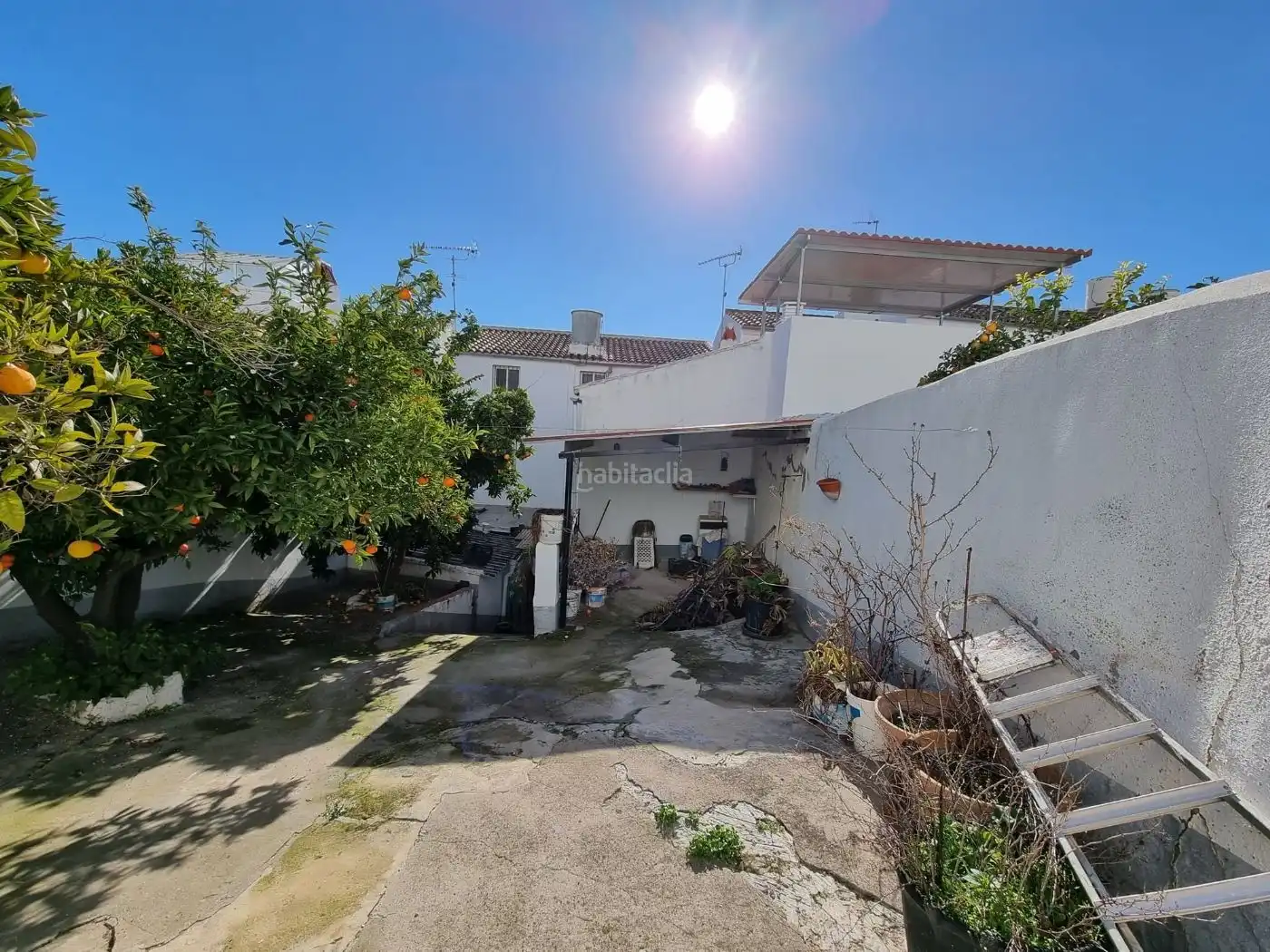 House for sale in Calle Encarnación 18, imagen 17