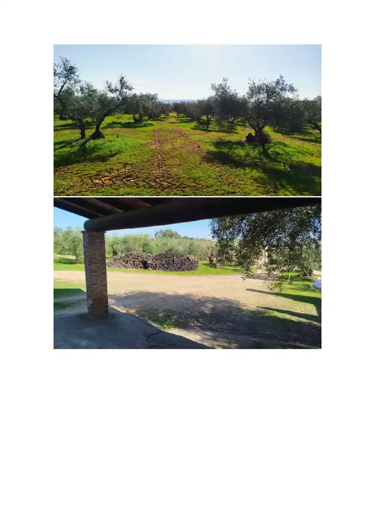 Jardín de Terreno en venta en Hornachuelos