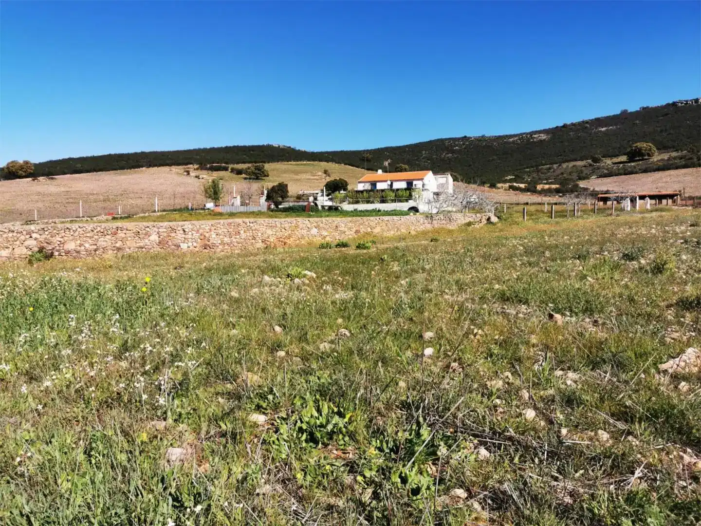 Pis en venda en Zalamea de la Serena amb Aire condicionat, Jardí privat i Parquet