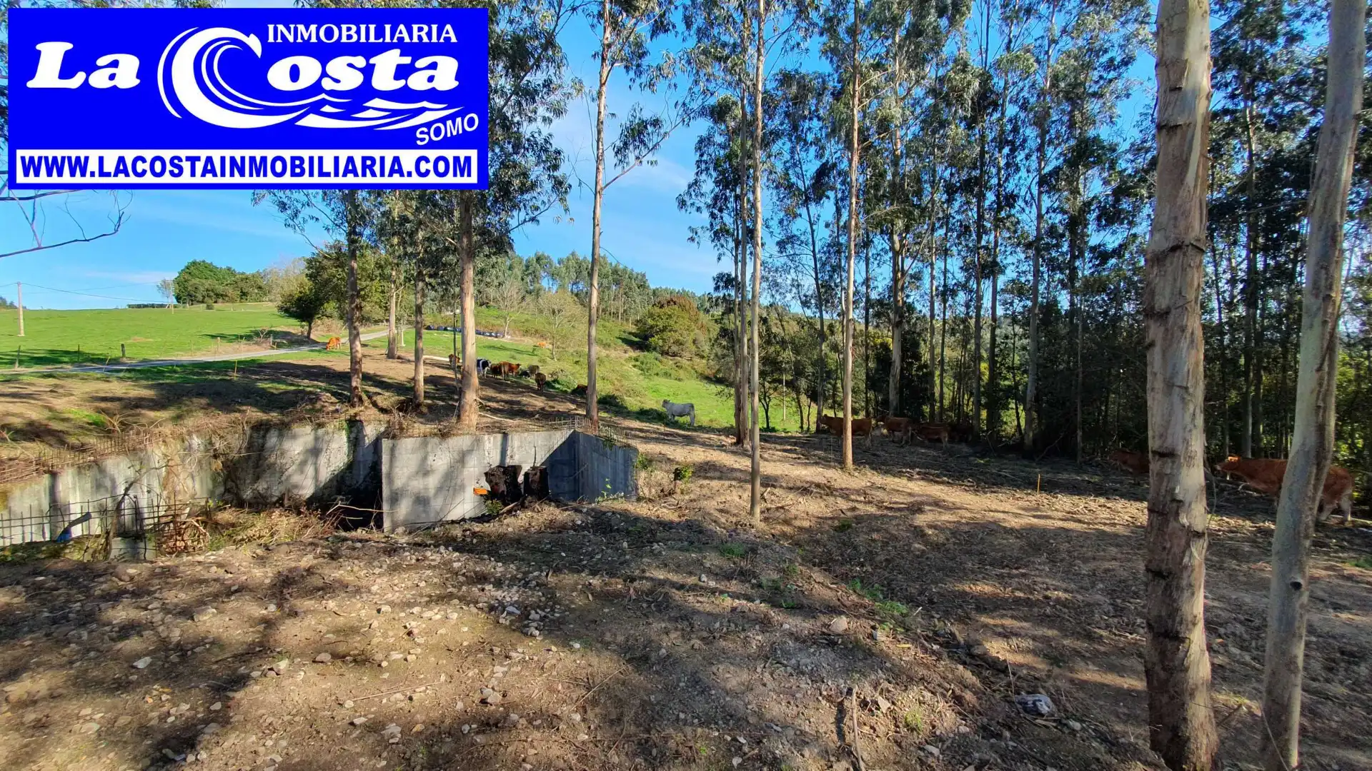 Residential for sale in Ribamontán al Mar