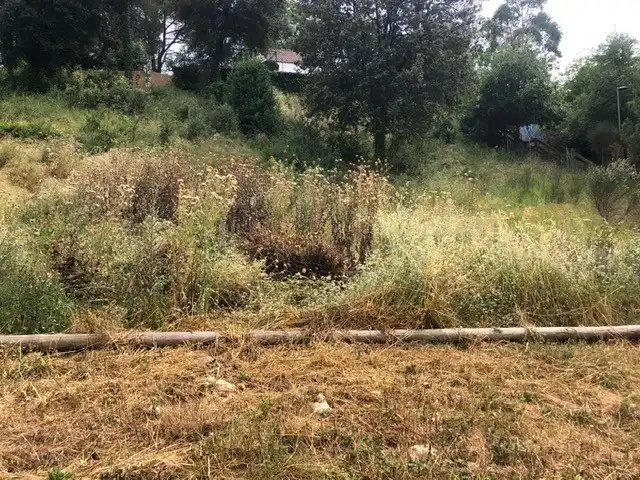 Terreno residenziale in vendita a Sud, imagen 21
