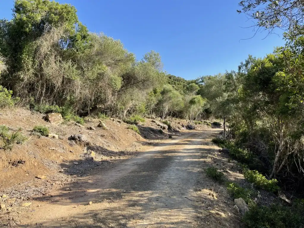 Exterior view of Country homes for sale in Castellar de la Frontera  with Private garden
