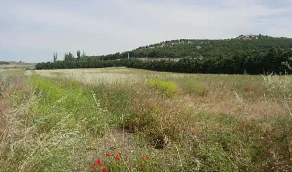 Terrain résidentiel à vendre à Avenida San Miguel, imagen 6