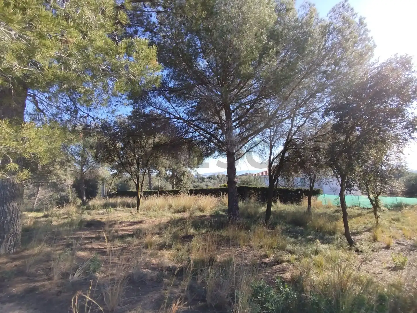 Terrenys i solars en venda a VILA DE VALL, imagen 20