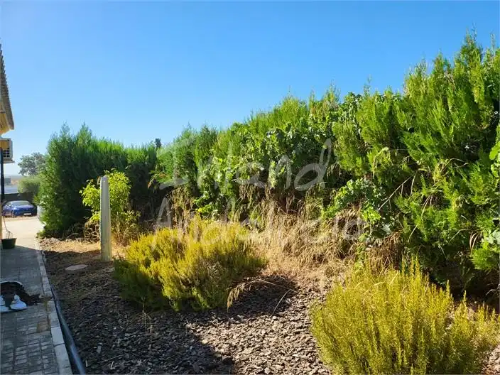 Maison avec piscine à vendre à Marchena, imagen 14