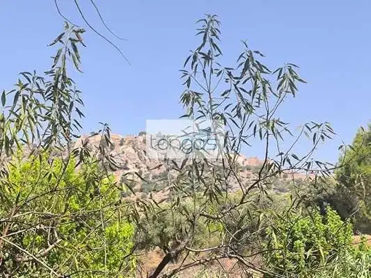 Casa o chalet en venta en Xàtiva