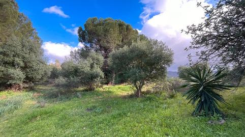 Foto 4 de Casa o xalet en venda a Calle Pablo Ruiz Picasso, Pinos de Alhaurín, Málaga