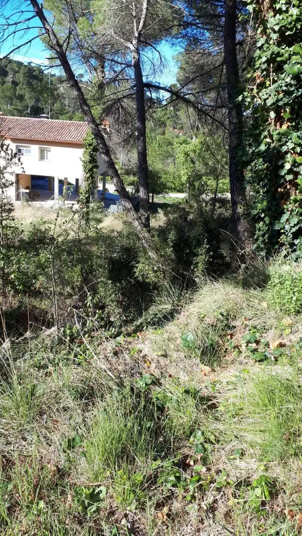 Rustikales Grundstück zum Verkauf in ORENETA, imagen 15